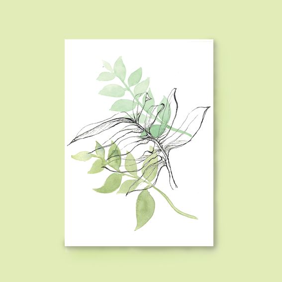 Kaart botanisch