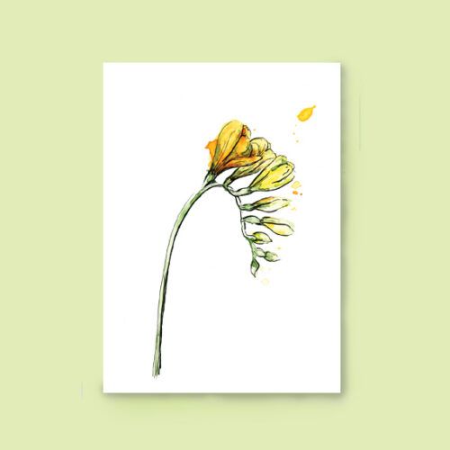 Kaart freesia