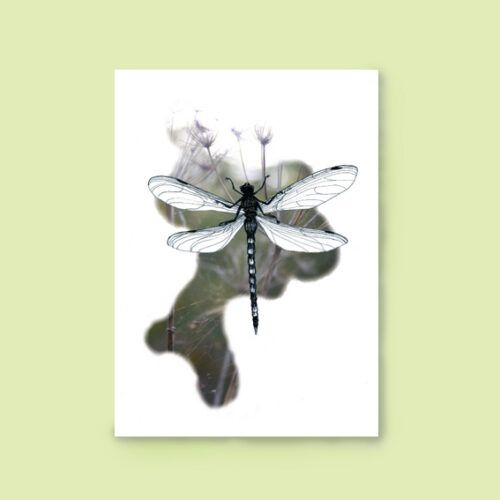Kaart libelle