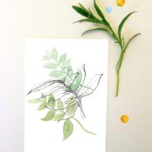 Kaart botanisch