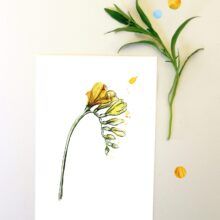 Kaart freesia