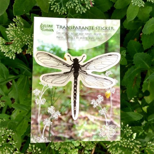 Transparante sticker libelle