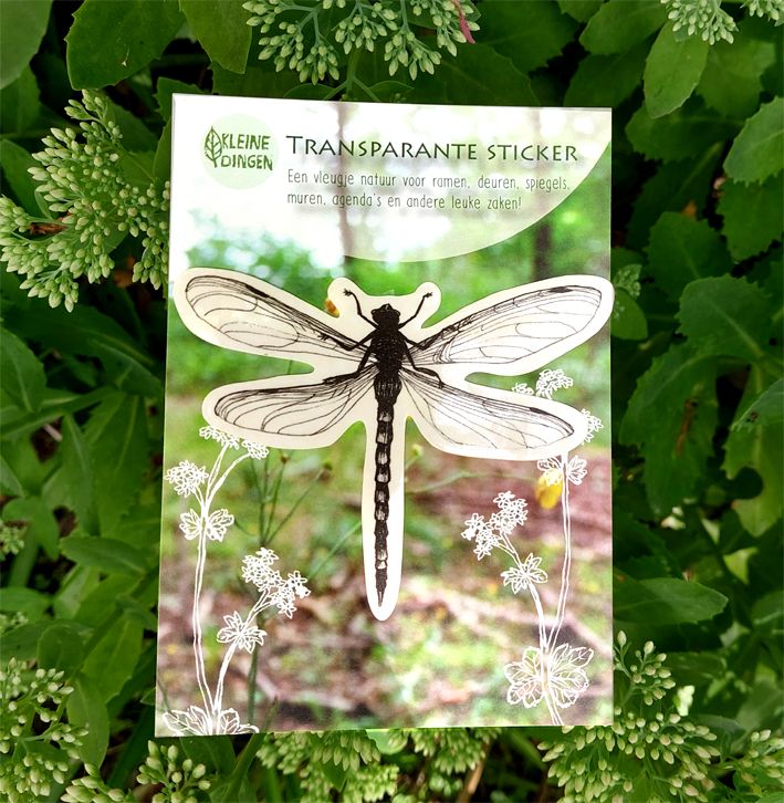 Transparante sticker libelle