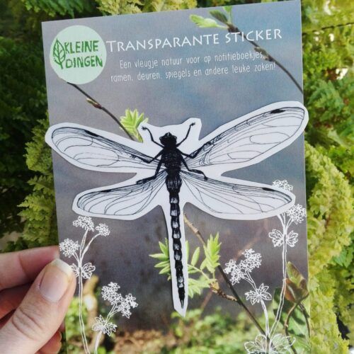 Transparante sticker libelle