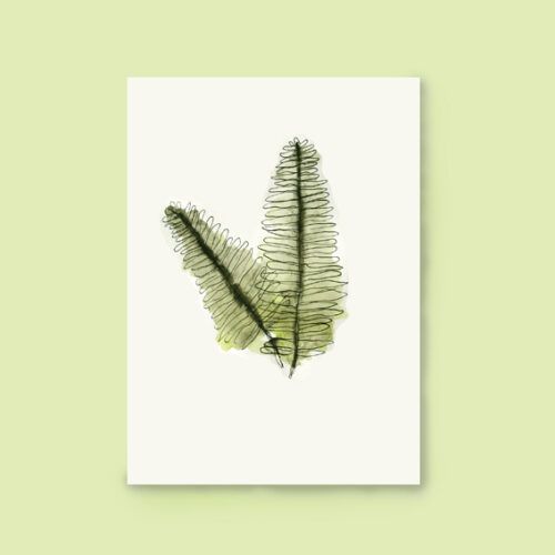 Kaart varens botanisch