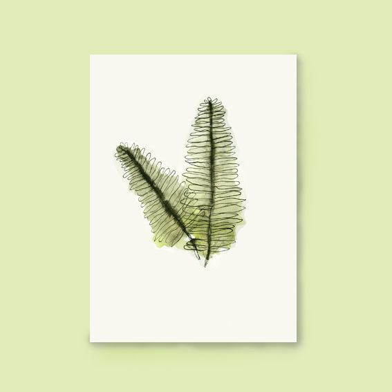 Kaart varens botanisch