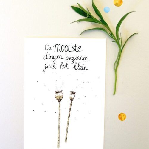 Kaart kleine dingen
