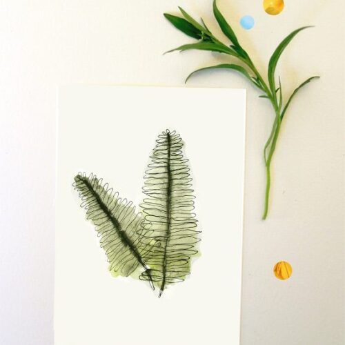 Kaart varens botanisch