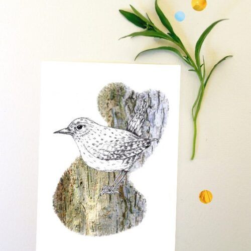 Kaart winterkoninkje