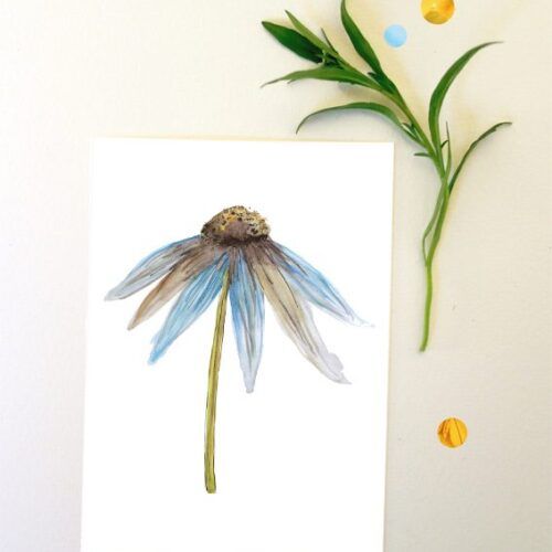 Kaart bloem zonnehoed