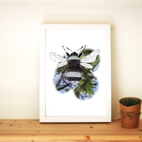 Print Hommel