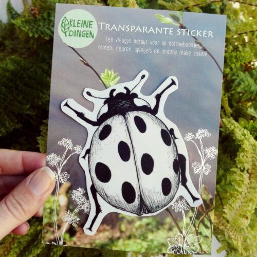 Transparante sticker lieveheersbeestje