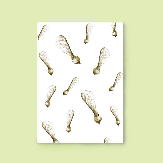 Kaart Natuur confetti