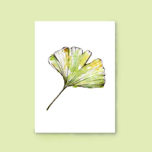 Kaart botanisch Ginkgo