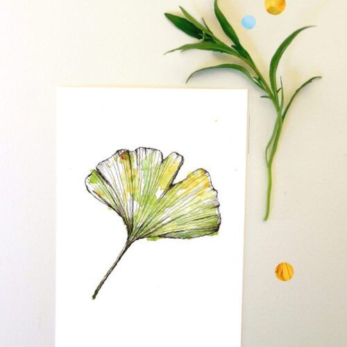 Kaart botanisch Ginkgo