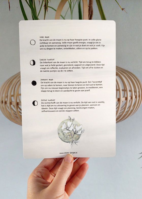 Maankalender 2026 - Afbeelding 2