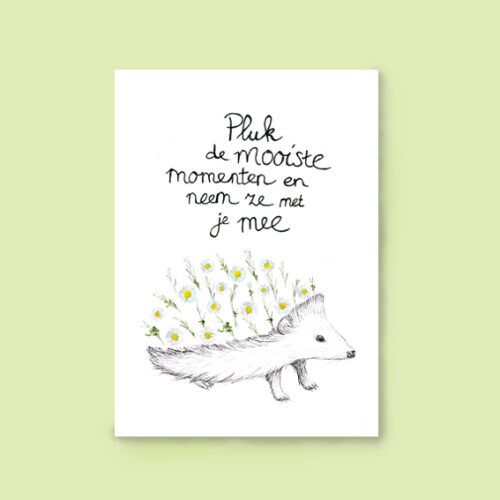 Kaart Pluk de mooiste momenten