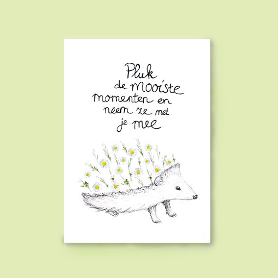 Kaart Pluk de mooiste momenten