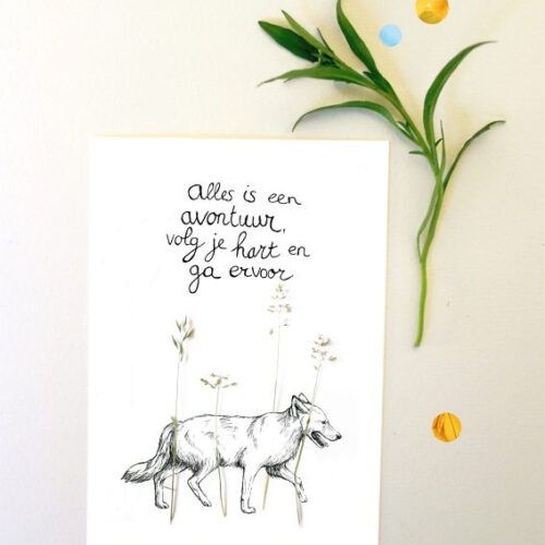 Kaart Alles is een avontuur