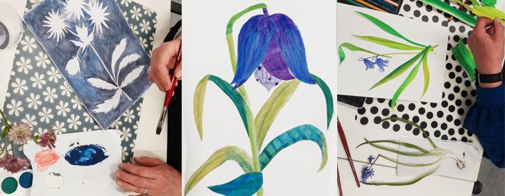 Vervolgcursus Natuurillustratie