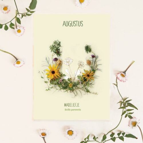 Maandbloem kaart Augustus