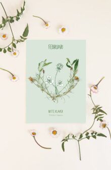 Maandbloem kaart Februari