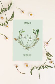 Maandbloem kaart Januari