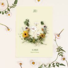 Maandbloem kaart Juli