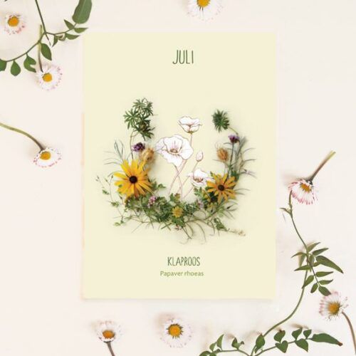 Maandbloem kaart Juli