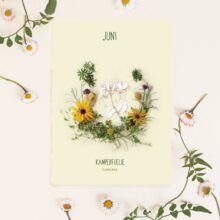 Maandbloem kaart Juni