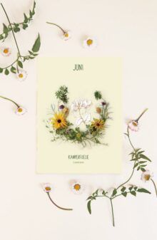 Maandbloem kaart Juni
