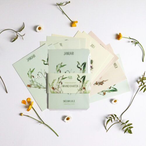 Kaartenset 12 maandbloemen