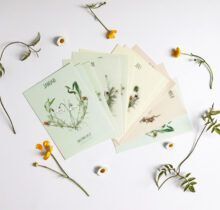 Kaartenset 12 maandbloemen - Afbeelding 3