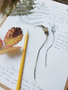 Workshop Nature journaling | tickets - Afbeelding 5