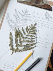 Workshop Nature journaling | tickets - Afbeelding 3
