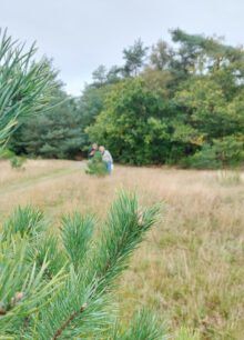 Workshop Nature journaling | tickets - Afbeelding 4