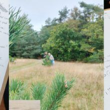 Workshop Nature journaling | tickets