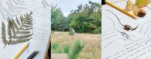 Workshop Nature journaling | tickets