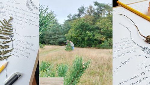 Workshop Nature journaling | tickets