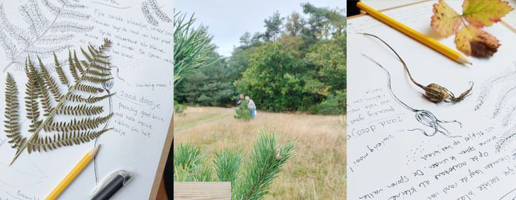 Workshop Nature journaling | tickets