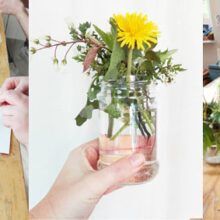 Workshop natuurillustratie + wildpluk | kleine setting