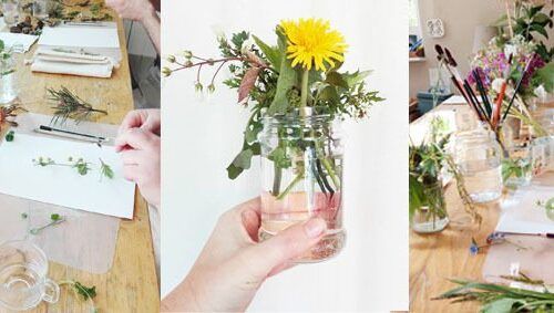Workshop natuurillustratie + wildpluk | kleine setting