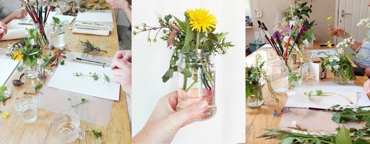 Workshop Natuurillustratie & wildpluk