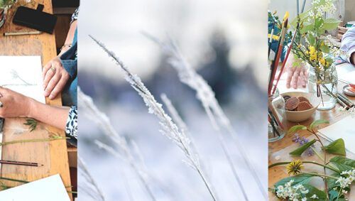 Workshop Landgoed wildpluk + tekenen